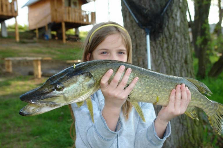 Starší fotky od roku 2008 - foto č. 26