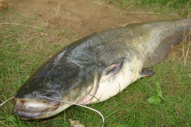 Starší fotky od roku 2008 - foto č. 25