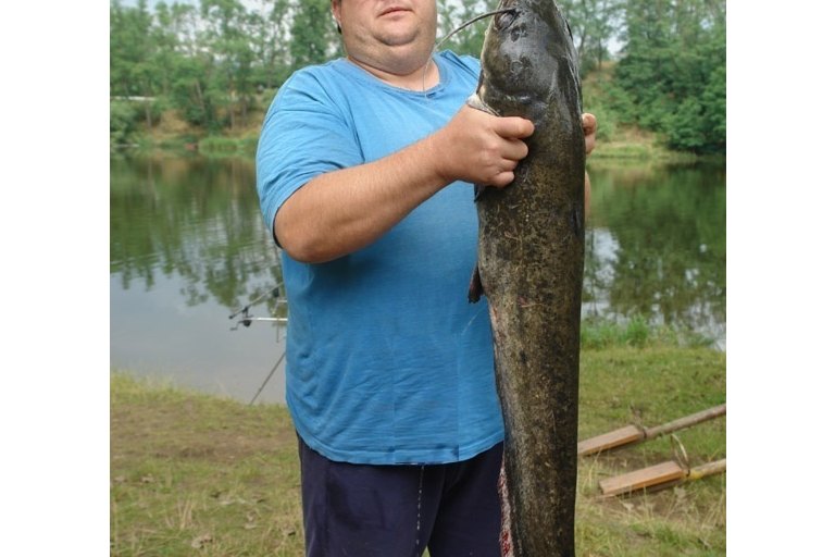 Starší fotky od roku 2008 - foto č. 24