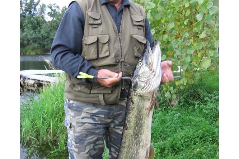 Starší fotky od roku 2008 - foto č. 16