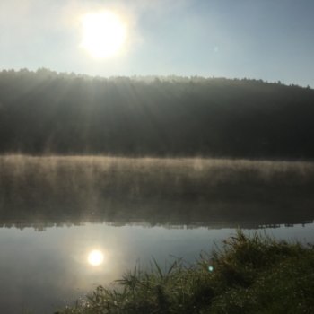  - foto č. 12