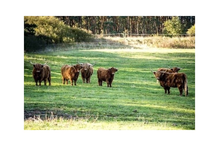 Fotky nejbližší okolí - foto č. 14